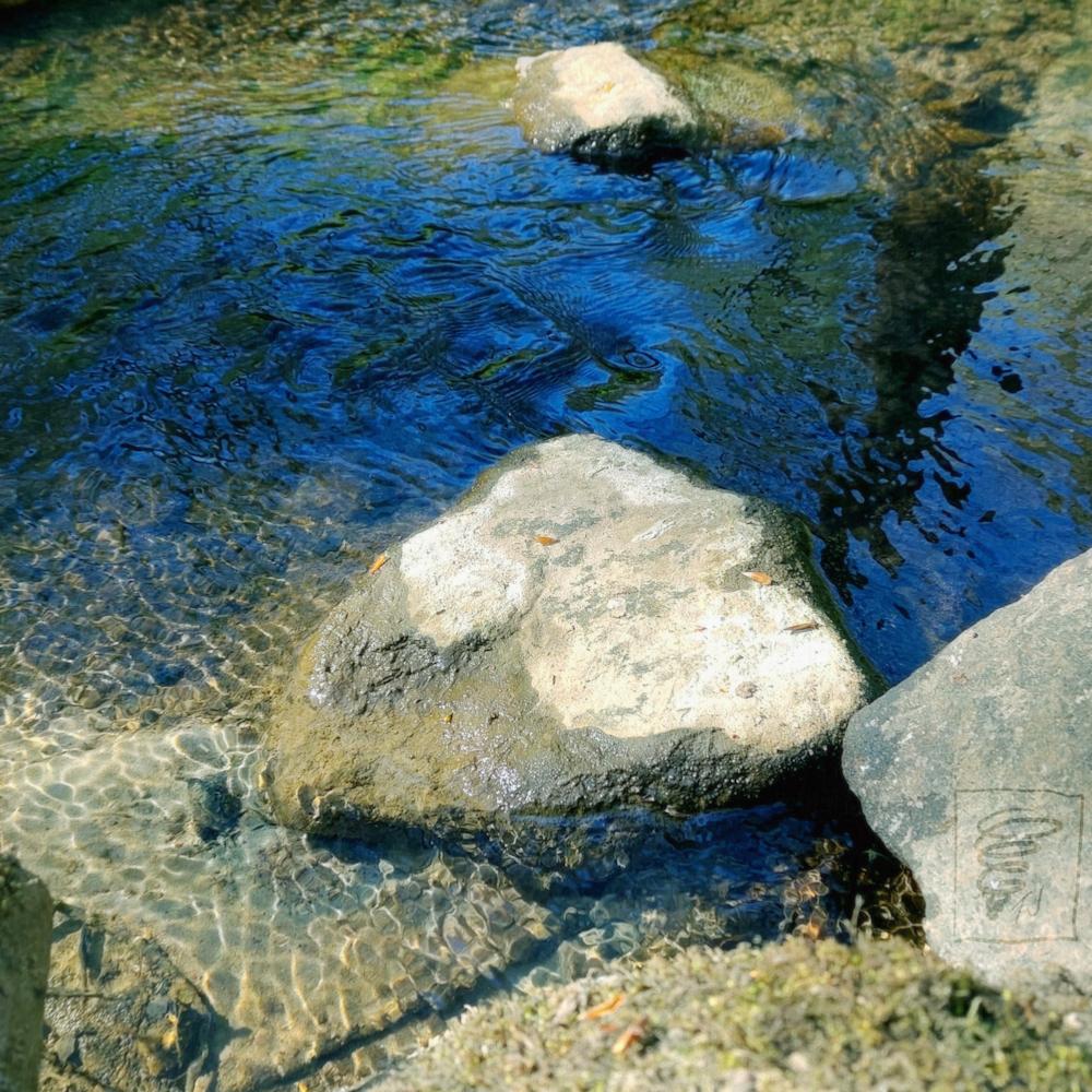 Cover Art 1